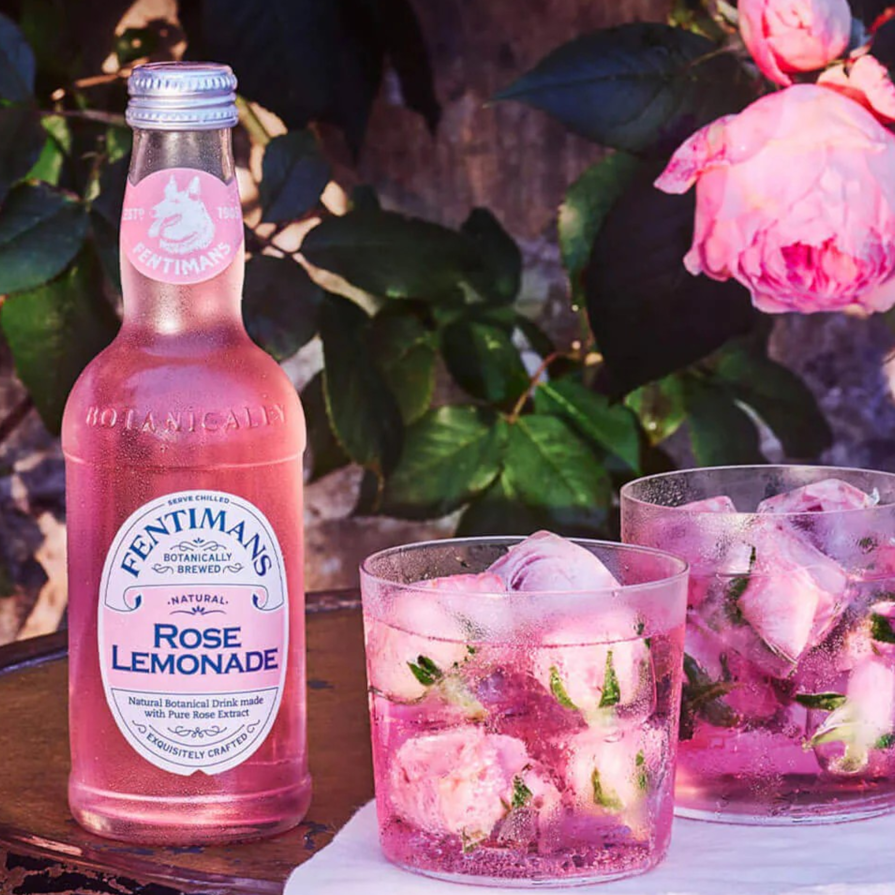 Fentimans Rose Lemonade (British) - 9.3fl.oz (275ml)