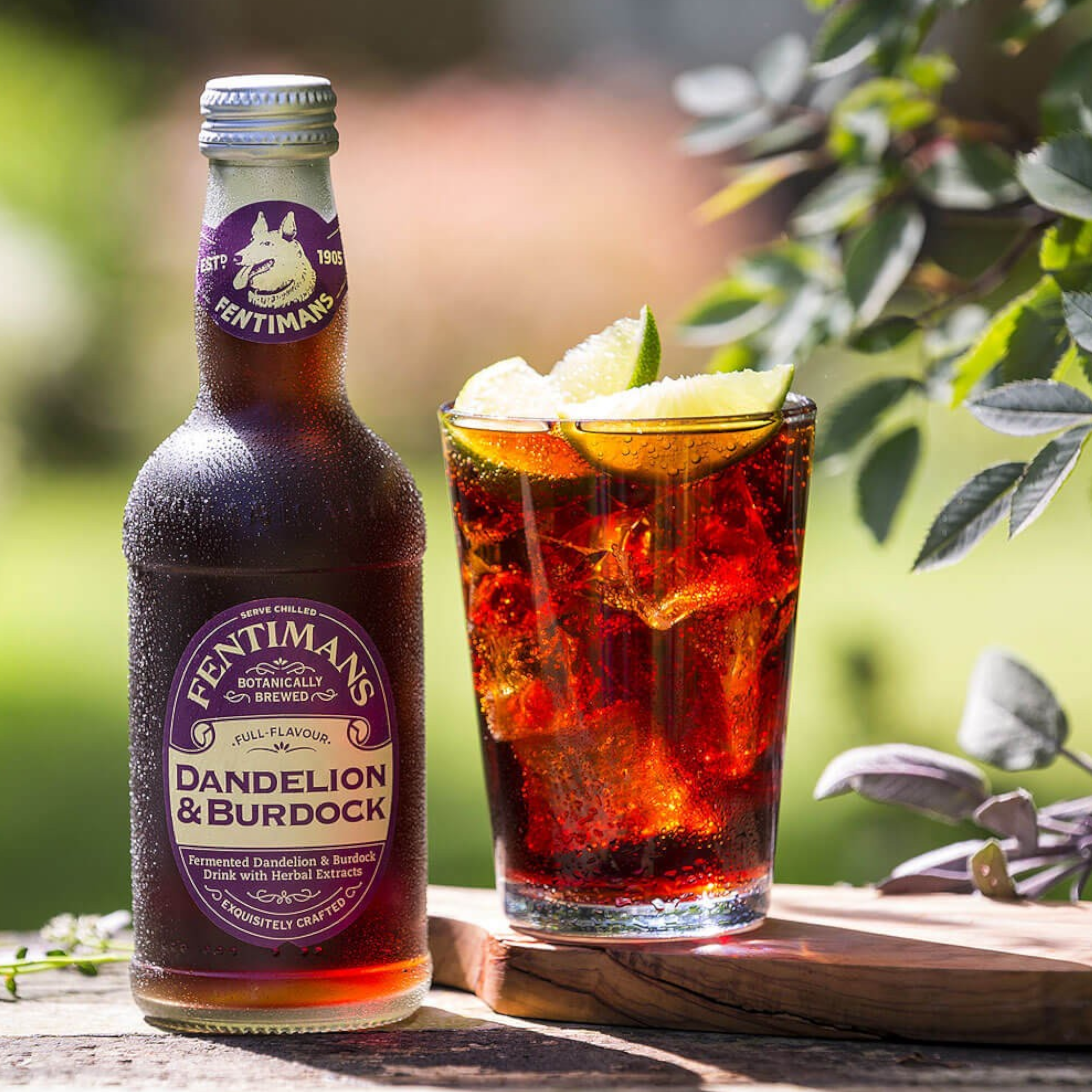Fentimans Dandelion & Burdock (British) - 9.3fl.oz (275ml)