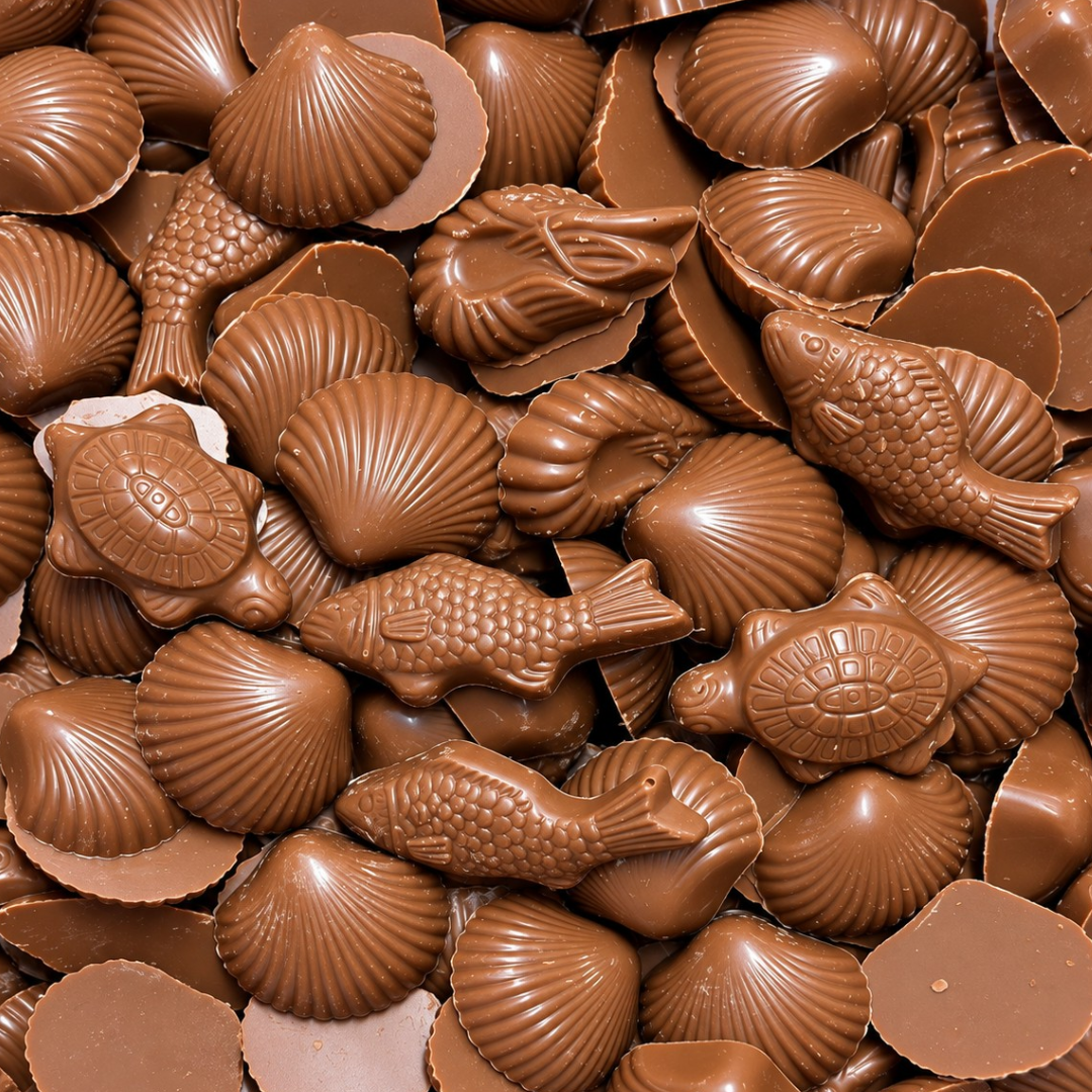 Chocolate Sea Life
