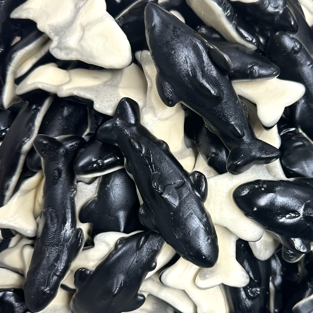 Giant Cola Sharks – Poppin Candy