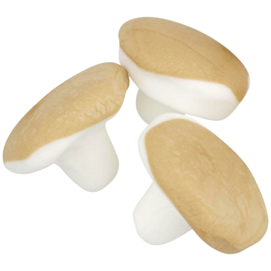 Kolasvamp (Caramel Foam Mushrooms)