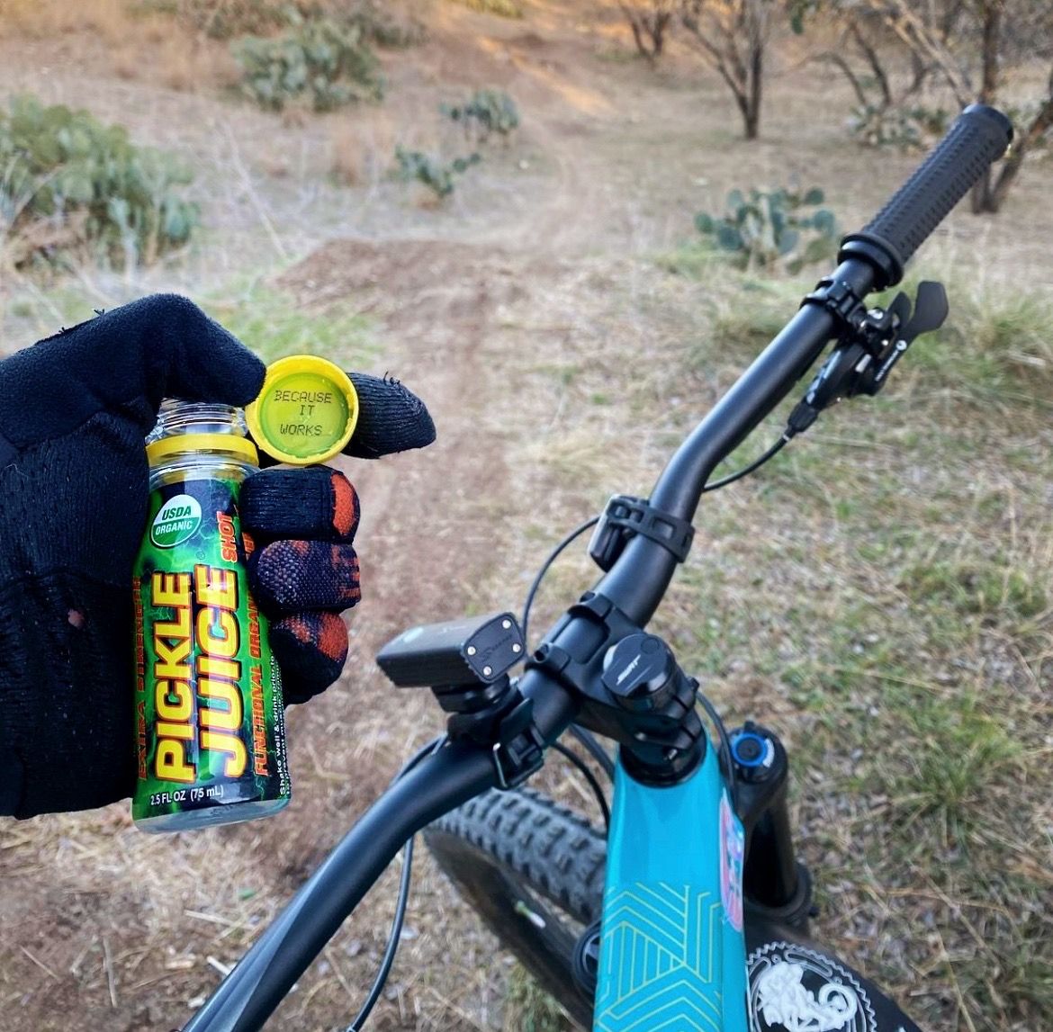 Pickle Juice Shot (Functional Organic Beverage To Stop Muscle Cramps) - 2.5fl.oz (75ml)