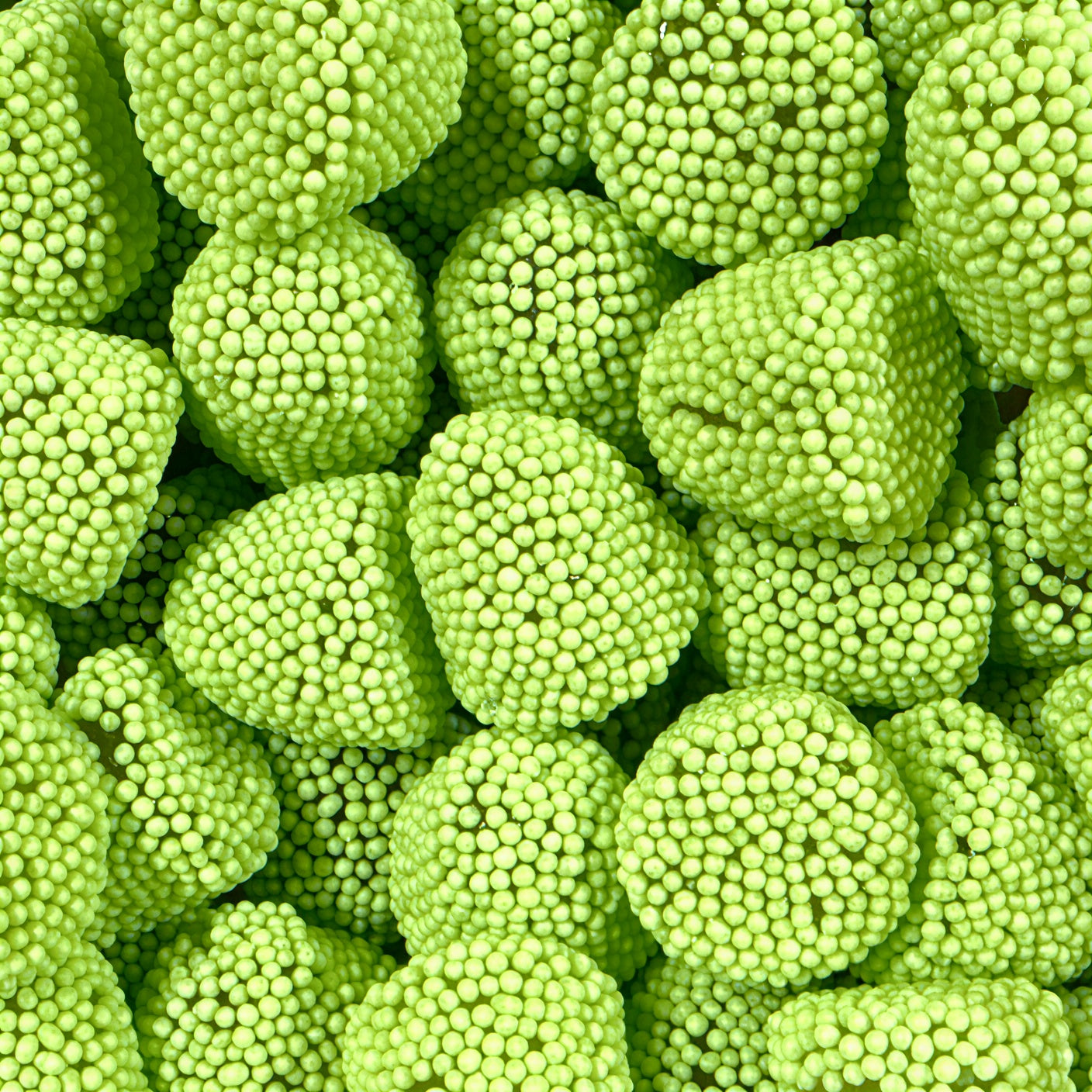 Melon Sprinkle Berries