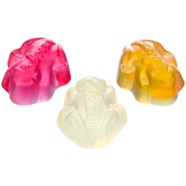 Tropiska Grodor (Jelly Tropical Frogs)