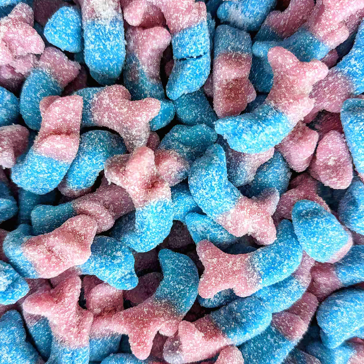 Bubblegum Dolphins