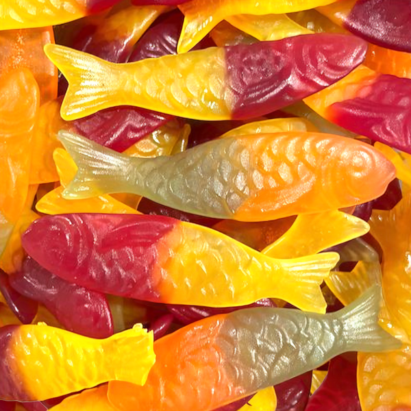 Giant Wine Gum Fish