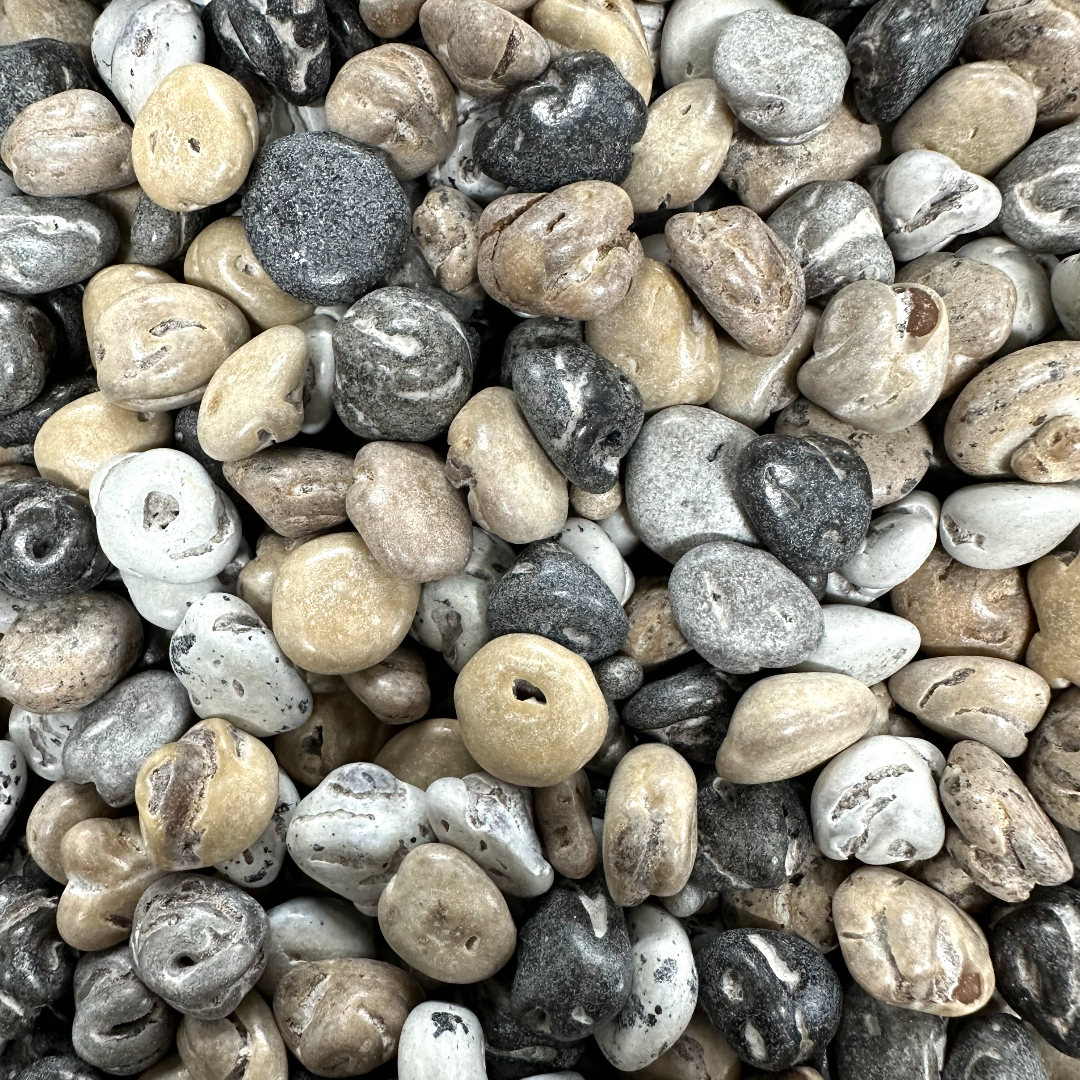 Cocoa Rocks – Poppin Candy