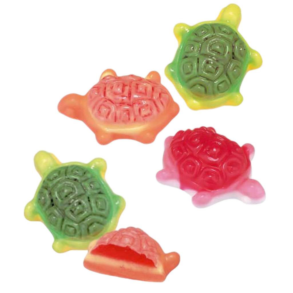 Jelly Filled Turtles | Poppin Candy