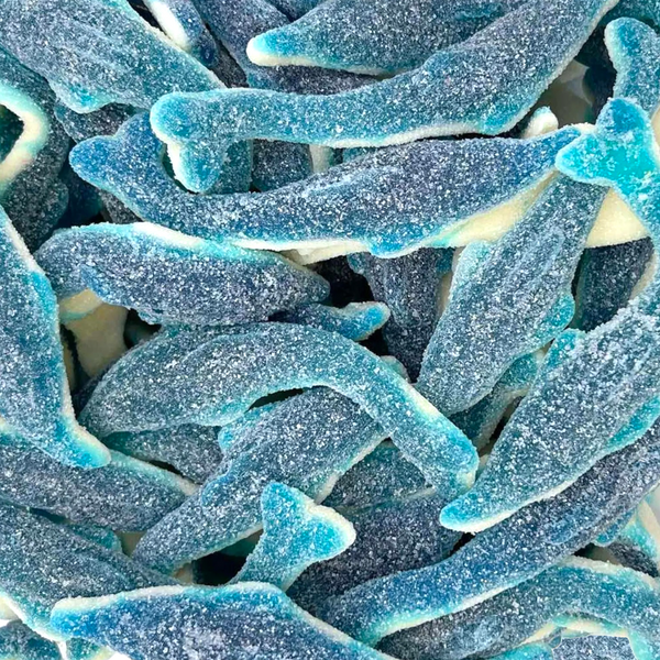 Giant Sour Blue Raspberry Dolphins