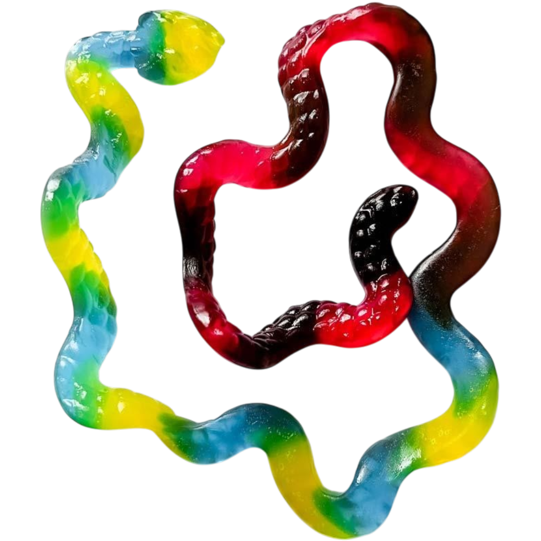 Metre Long Giant Snakes