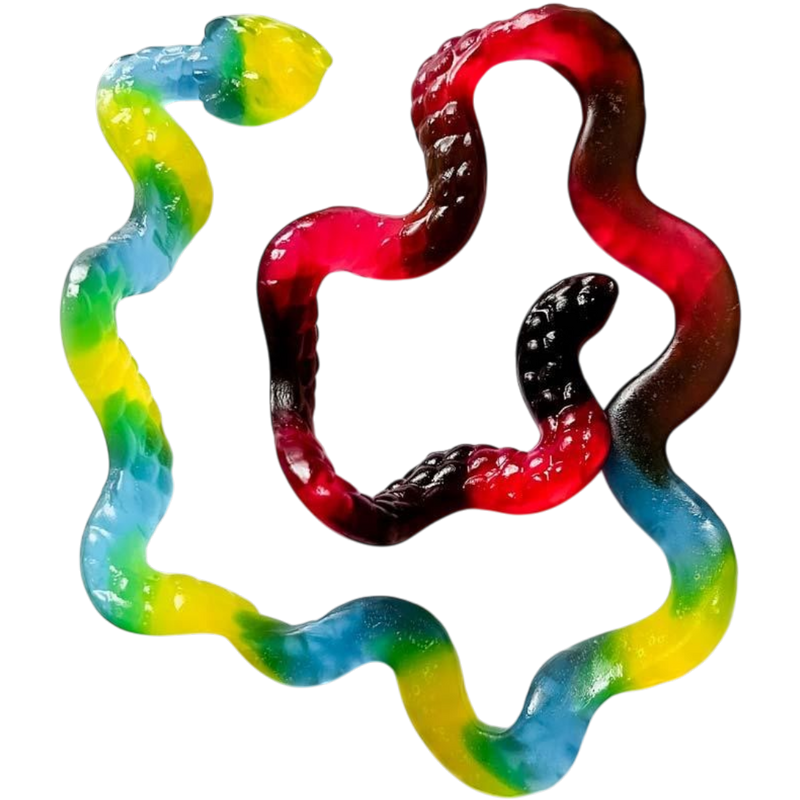 Metre Long Giant Snakes