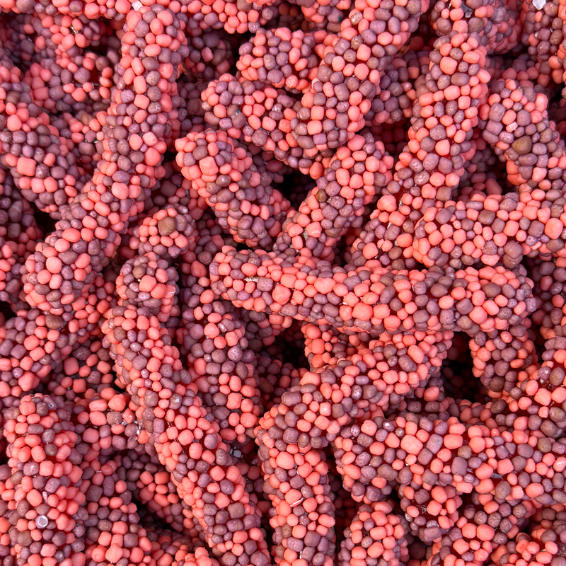 Grape & Strawberry Sour Bobbly Worms