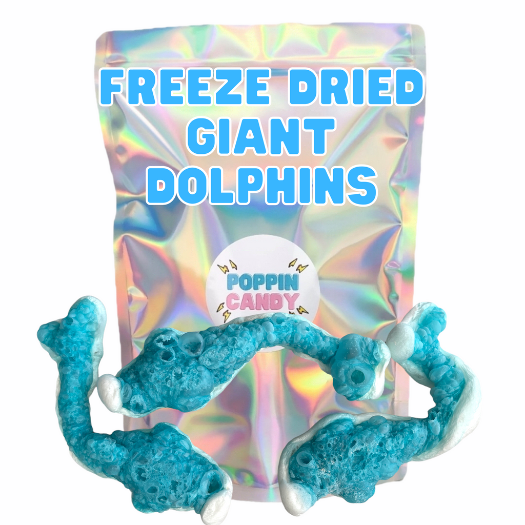 Freeze Dried Giant Dolphins