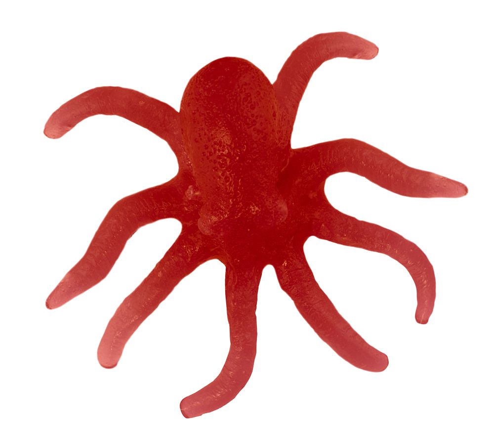 Gummy Octopus - Cherry