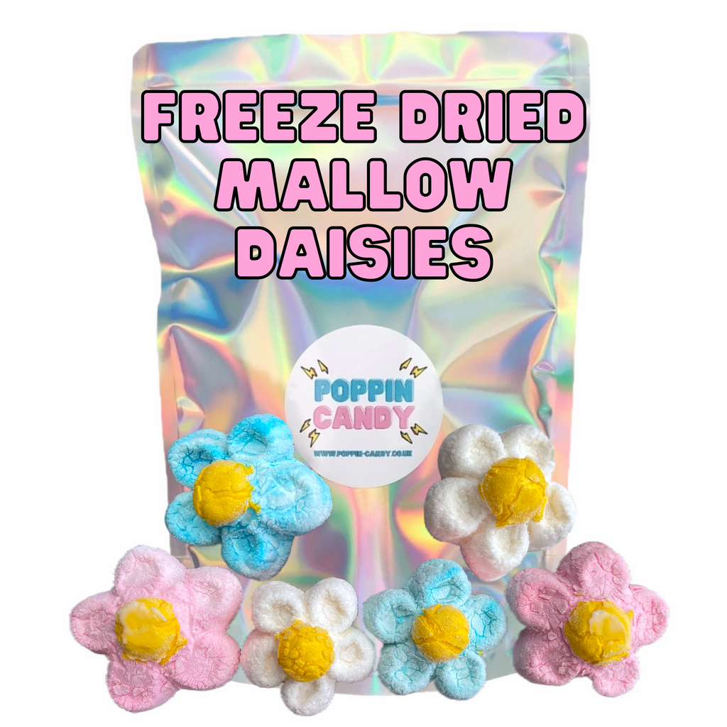 Freeze Dried Mallow Daisies