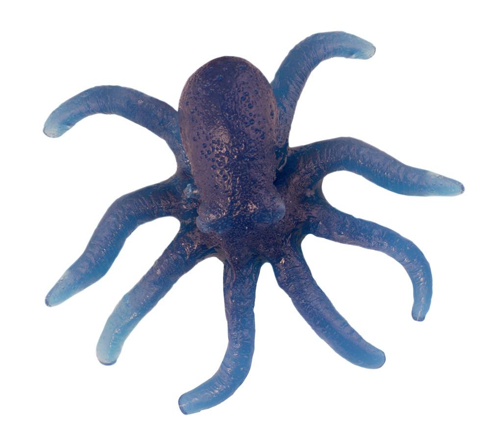 Gummy Octopus - Blue Raspberry